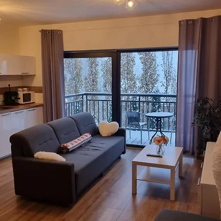 Szkolna Na 6 * 슈차이르크