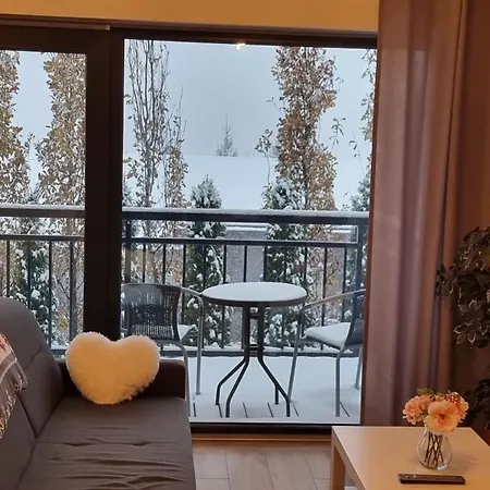 Szkolna Na 6