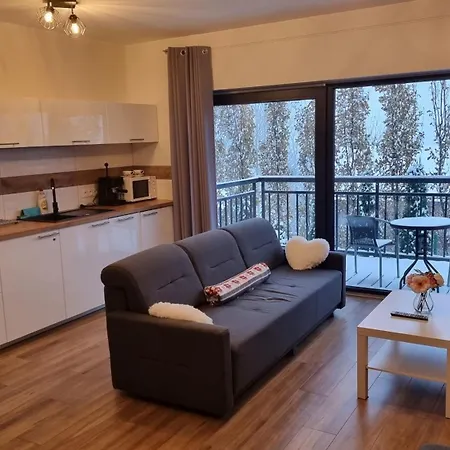 아파트 Szkolna Na 6 슈차이르크